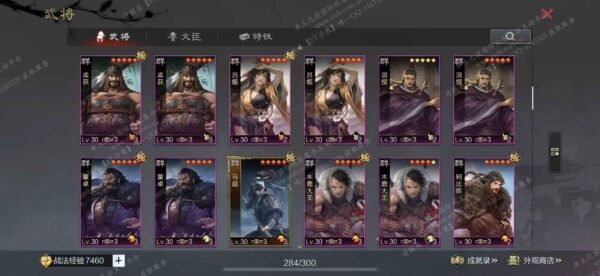 编号505133-国际服[日服端口]-备战区-可议价