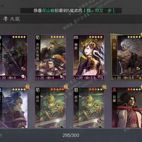 编号511121-国际服[日服端口]-备战区-可议价