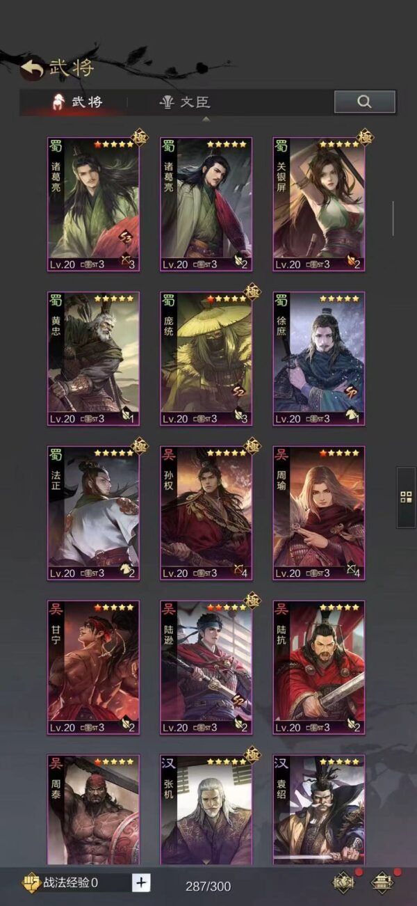 编号601252-国际服[日服端口]-剧本中-可议价