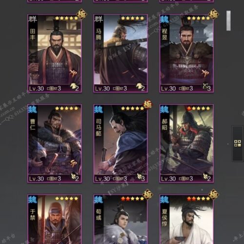 编号602081-国际服[日服端口]-剧本中-可议价