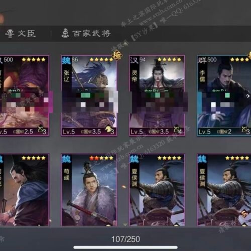 编号602221国际服[日服端口]-S2-可议价