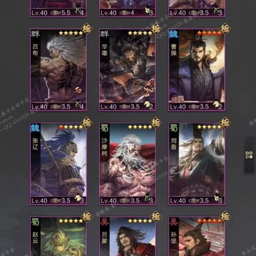 编号602272-国际服[日服端口]-剧本中-可议价