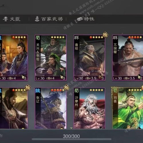 编号603081-国际服[日服端口]-备战区-可议价