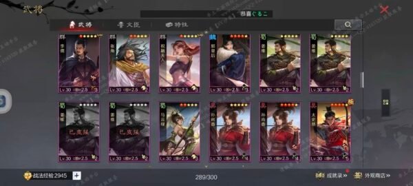 编号604111-国际服[日服端口]-剧本中-可议价