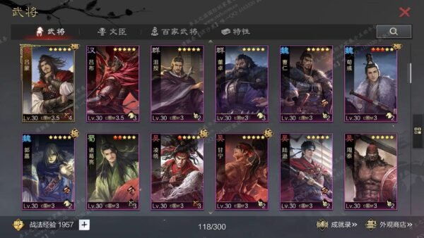 编号604292-国际服[日服端口]-剧本中-可议价