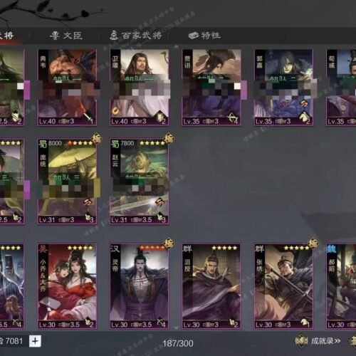 编号606182-国际服[日服端口]-剧本中-可议价